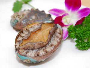 鮑魚如何挑選？鮑魚如何挑選