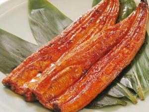 鰻魚多少錢一斤？鰻魚如何挑選