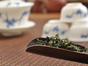 鐵觀音屬于什么茶？如何鑒別鐵觀音？