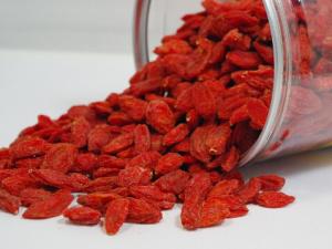 枸杞能提高性功能嗎？枸杞怎么吃壯陽(yáng)？