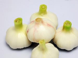 怎么吃大蒜才能有效預(yù)防癌癥？