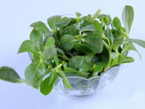 涼拌菜怎么吃才健康？吃涼拌菜最好放抗菌菜
