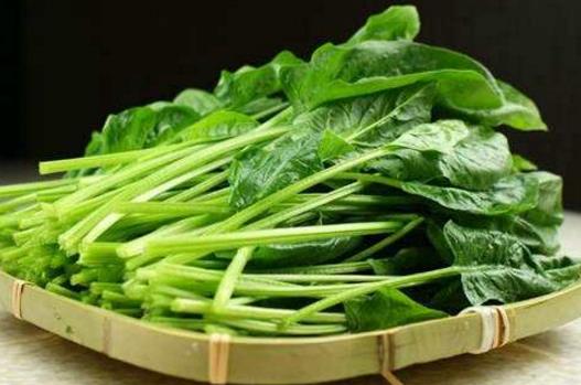 1、過量吃菠菜.jpg