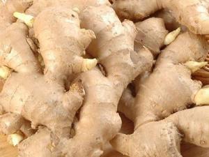 吃生姜的好處與壞處？為什么說冬吃蘿卜夏吃姜