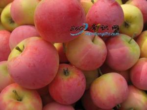 沙果怎么吃？吃沙果的食用禁忌