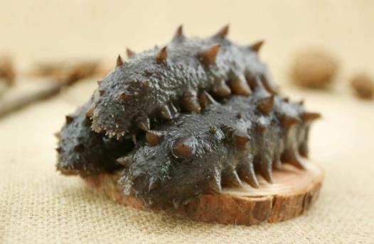 海參怎么吃最有營(yíng)養(yǎng)?海參食用方法與禁忌