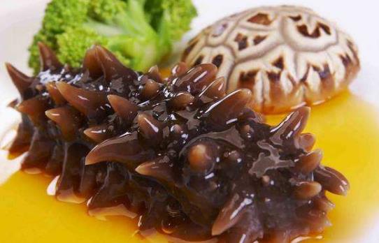 海參怎么吃最有營(yíng)養(yǎng)?海參食用方法與禁忌