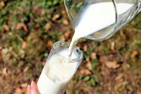 澳牧進(jìn)口A2純牛奶 更利于人體吸收的高品質(zhì)牛奶