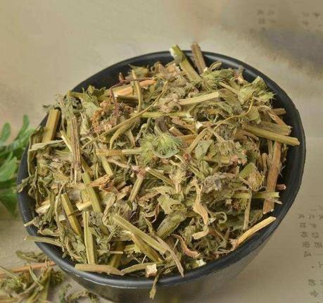 益母草一天喝幾次較好?益母草什么時(shí)候喝最好?