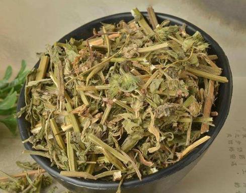 益母草一天喝幾次較好?益母草什么時(shí)候喝最好?