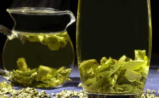 荷葉茶有哪些營養(yǎng)價值?荷葉茶有哪些副作用?