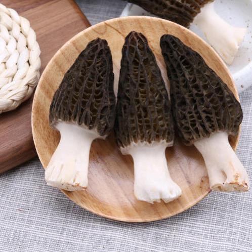 羊肚菌多少錢(qián)一斤?羊肚菌的功效與作用