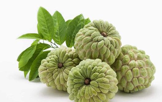 釋迦果長(zhǎng)白毛是發(fā)霉嗎?釋迦果為什么放不軟