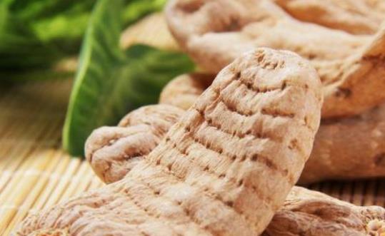吃天麻會(huì)上火嗎?哪些人不宜食用天麻?