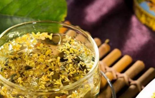 桂花茶可以天天喝嗎?哪些人不宜喝桂花茶?