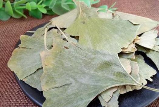 銀杏葉茶有哪些成分?銀杏葉茶有哪些功效?