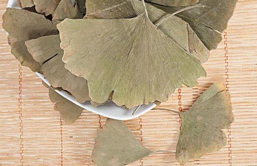 銀杏葉茶可以長期吃嗎?銀杏葉茶有哪些作用?
