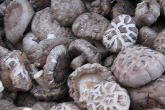 胃腸病人可以喝冬菇茶嗎?冬菇茶對人的腸胃有哪些好處?