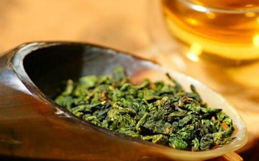 本山茶是什么?本山茶有哪些作用?