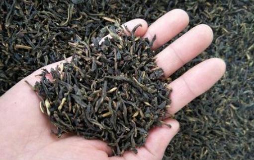 本山茶是什么?本山茶有哪些作用?