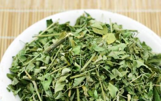 辣木茶怎么制作?辣木茶有哪些作用?