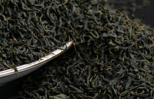辣木茶怎么制作?辣木茶有哪些作用?