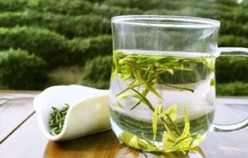 什么是雨前茶?明前茶好還是雨前茶好?