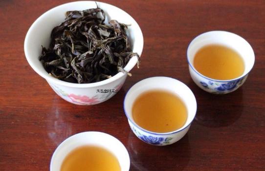 什么是單樅茶?單樅茶可以減肥嗎?