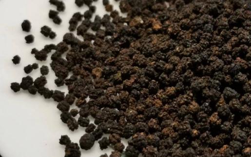 蟲屎茶是什么茶?蟲屎茶有哪些功效?
