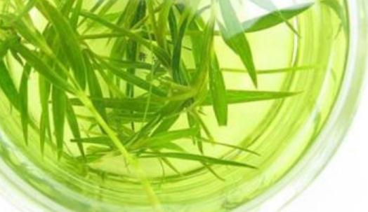 石竹茶屬于什么茶?石竹茶有哪些好處?