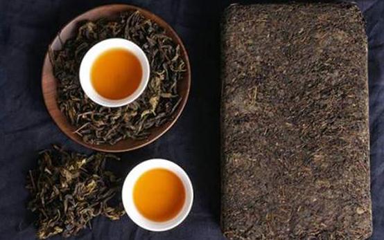 怎么選購茯茶?茯茶哪些作用?