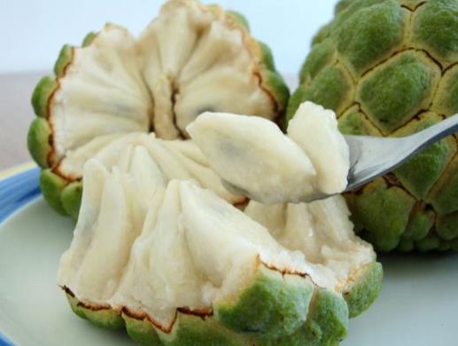 不熟的釋迦果能吃嗎?吃釋迦果要注意什么