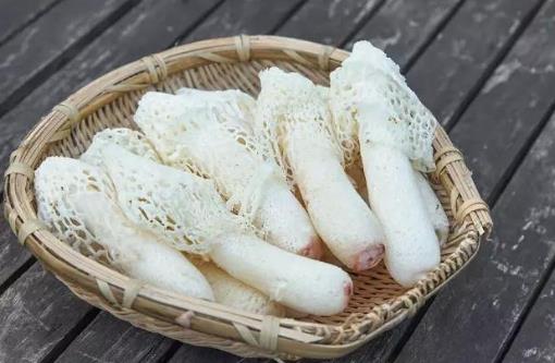 竹蓀能和蟲草花一起燉嗎?竹蓀湯有什么作用?