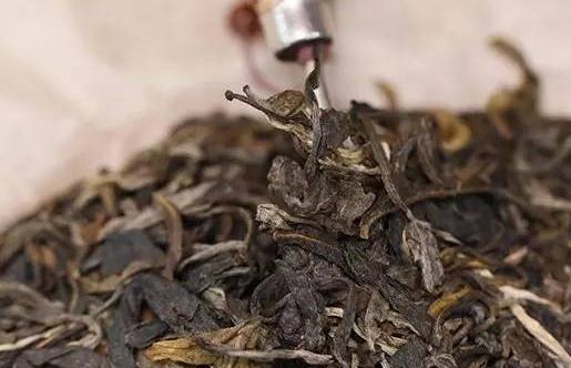 喝普洱茶頭暈是怎么回事?喝普洱茶會有哪些不良反應(yīng)?