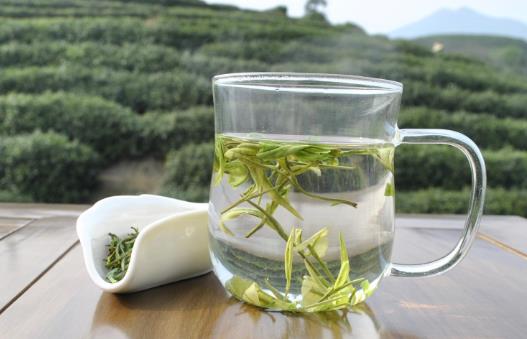 綠茶與紅茶有什么區(qū)別呢?綠茶與紅茶哪個比較好?