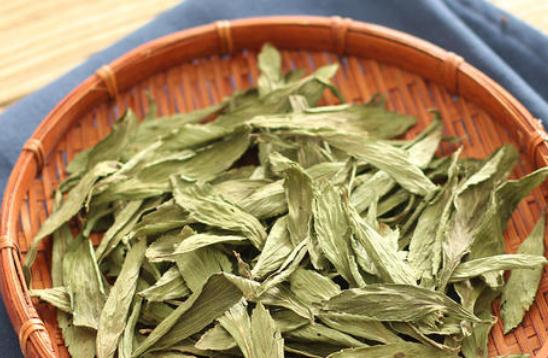 甜菊葉可以天天喝嗎?甜菊葉有哪些功效?