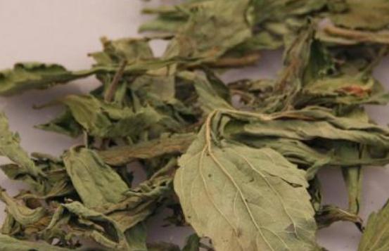 哪些人不宜喝甜葉菊?甜菊葉泡水喝有哪些作用?