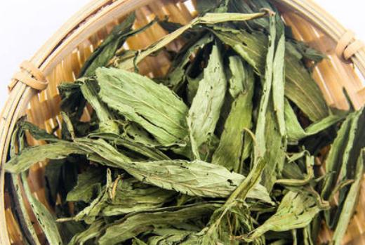 甜菊葉可以天天喝嗎?甜菊葉有哪些功效?