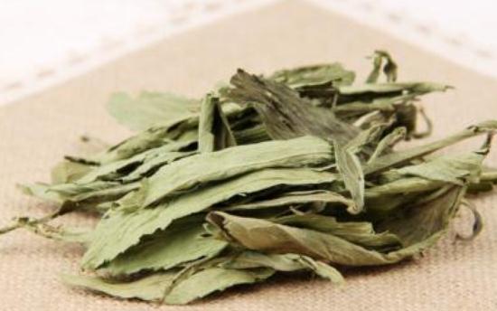 哪些人不宜喝甜葉菊?甜菊葉泡水喝有哪些作用?
