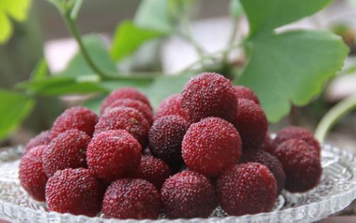 吃酸性食物有哪些好處?什么是強(qiáng)酸性食物?