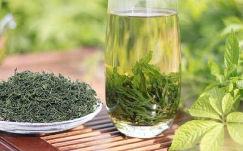 絞股藍有減肥的功效嗎?絞股藍茶減肥怎么喝效果好?