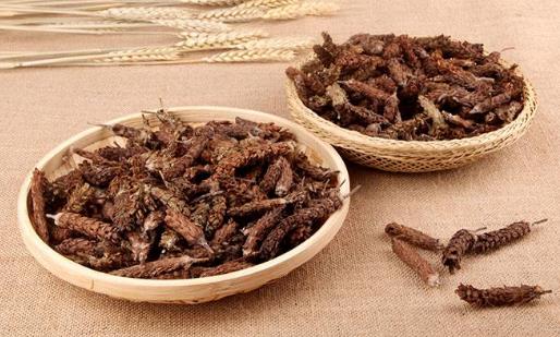 夏枯草茶是什么茶?夏枯草茶有哪些作用?