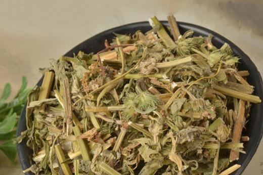 益母草喝多了好嗎?益母草有哪些作用?
