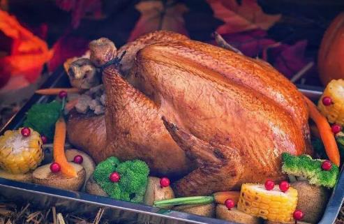 火雞肉和普通雞肉有什么區(qū)別?火雞肉與土雞肉哪個更好吃?