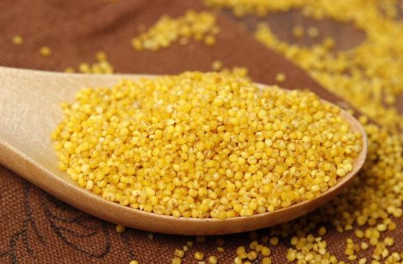 小米粥怎么做最養(yǎng)胃?小米粥可以減肥嗎?