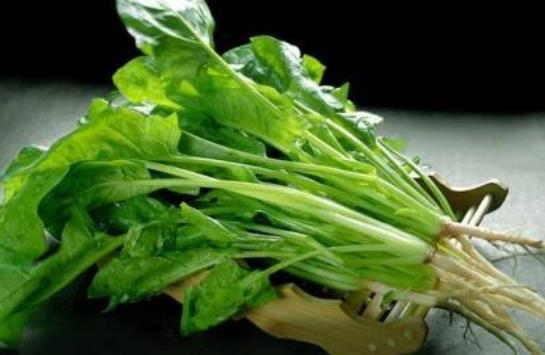 寶寶可以吃菠菜嗎?產婦可以吃菠菜嗎?