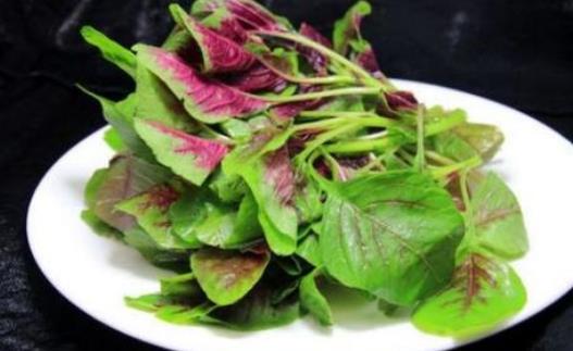 孕婦可以吃莧菜嗎?吃莧菜有哪些好處?