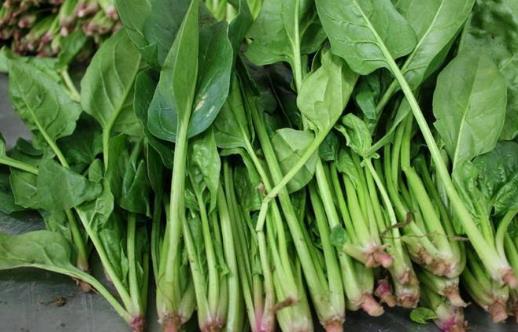 菠菜不能和什么一起吃?菠菜有哪些功效?