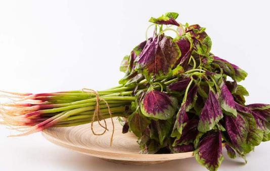 哪些人不宜吃莧菜?莧菜有哪些作用?