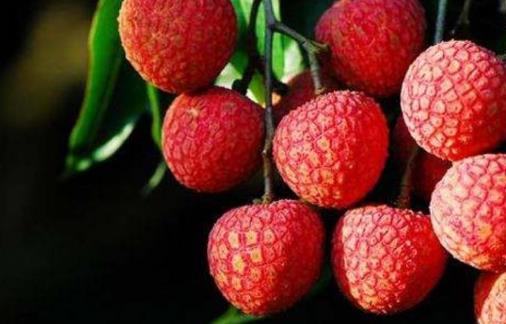 宮頸癌手術(shù)后可以吃荔枝嗎?孕婦可以吃荔枝嗎?
